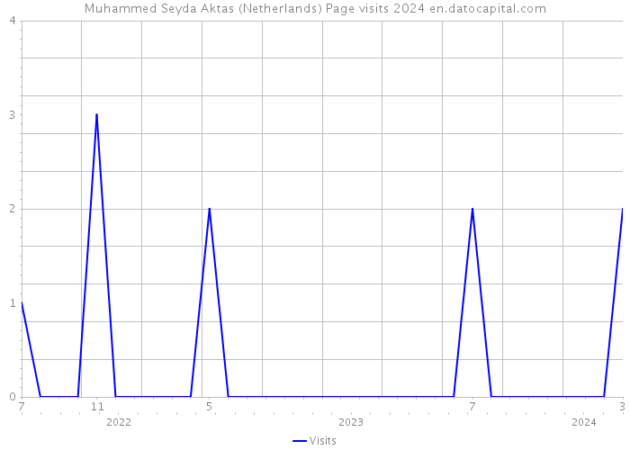Muhammed Seyda Aktas (Netherlands) Page visits 2024 