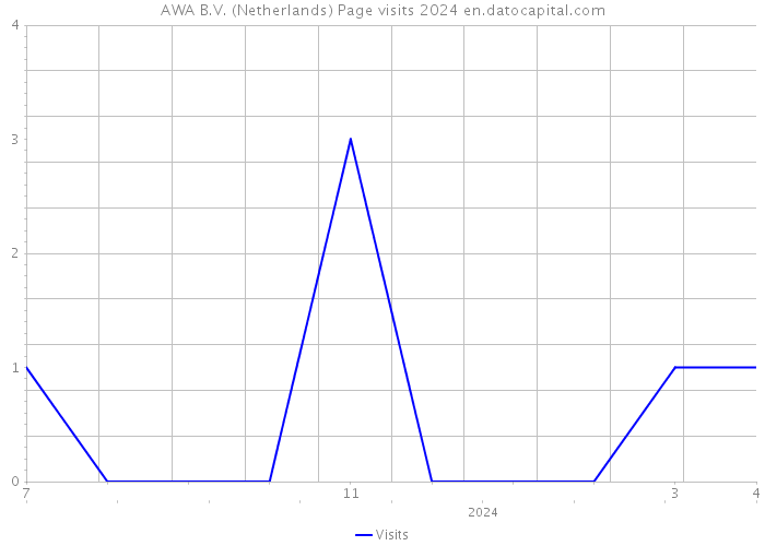 AWA B.V. (Netherlands) Page visits 2024 