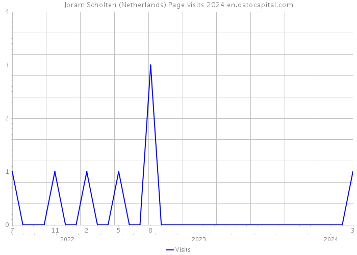 Joram Scholten (Netherlands) Page visits 2024 