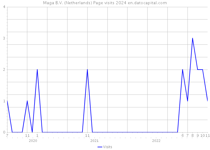 Maga B.V. (Netherlands) Page visits 2024 