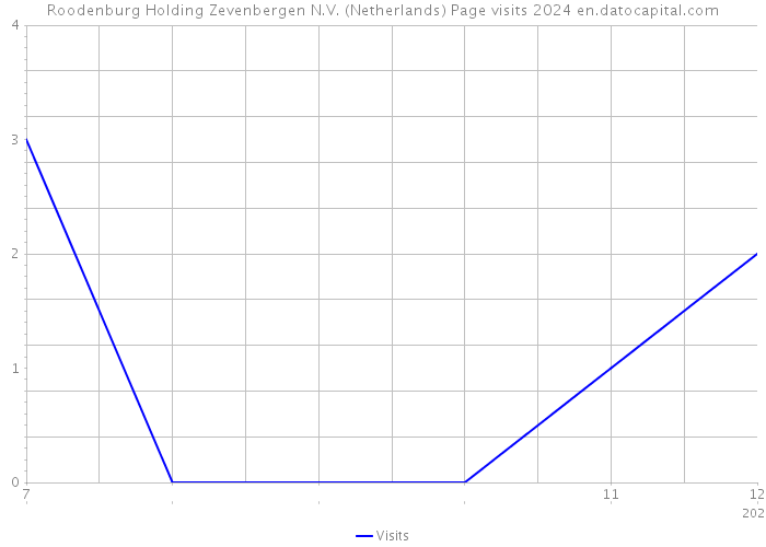 Roodenburg Holding Zevenbergen N.V. (Netherlands) Page visits 2024 