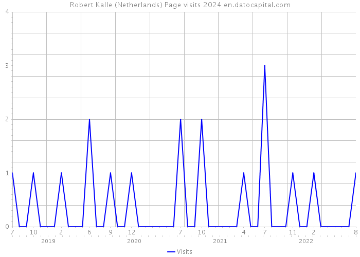 Robert Kalle (Netherlands) Page visits 2024 