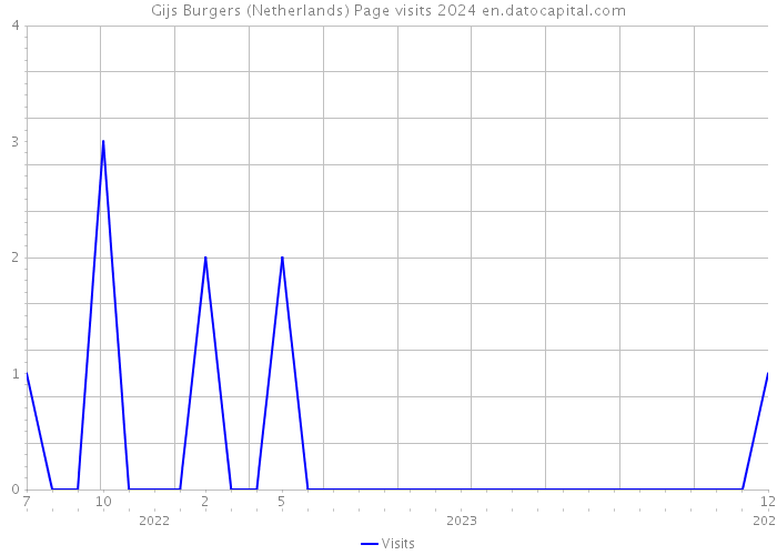 Gijs Burgers (Netherlands) Page visits 2024 
