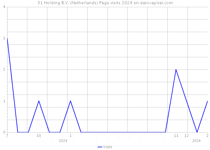 31 Holding B.V. (Netherlands) Page visits 2024 