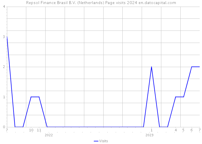 Repsol Finance Brasil B.V. (Netherlands) Page visits 2024 