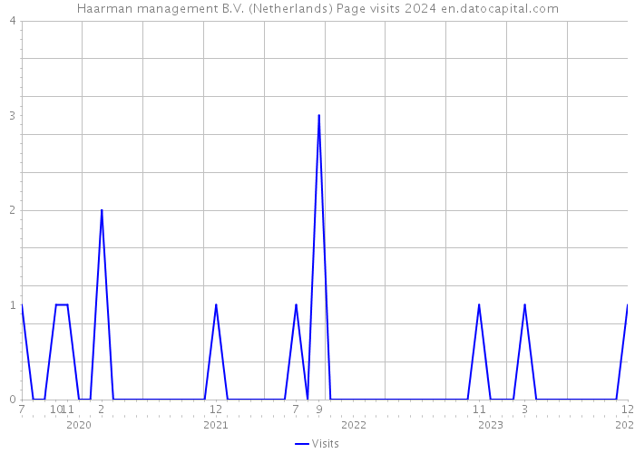 Haarman management B.V. (Netherlands) Page visits 2024 