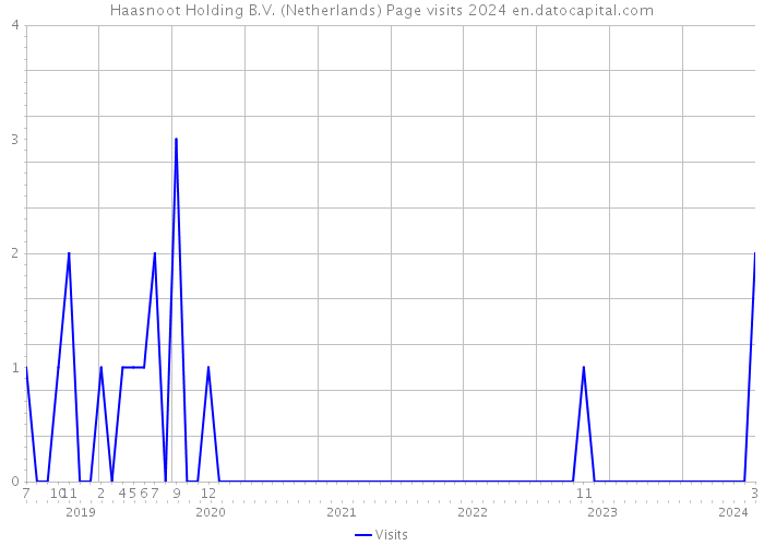 Haasnoot Holding B.V. (Netherlands) Page visits 2024 