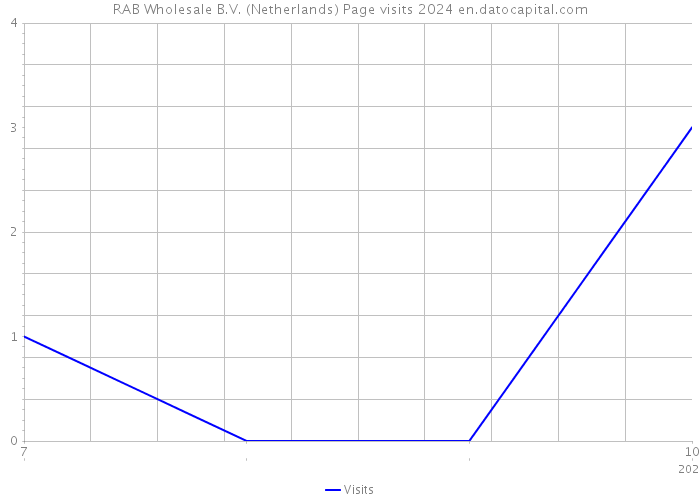 RAB Wholesale B.V. (Netherlands) Page visits 2024 