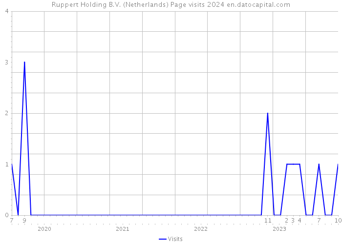 Ruppert Holding B.V. (Netherlands) Page visits 2024 