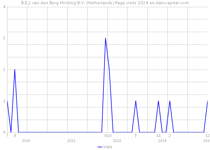 B.E.J. van den Berg Holding B.V. (Netherlands) Page visits 2024 