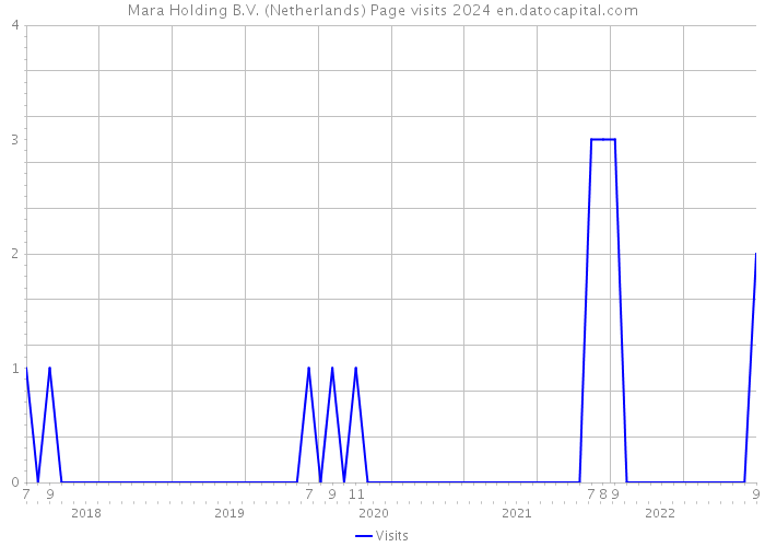 Mara Holding B.V. (Netherlands) Page visits 2024 