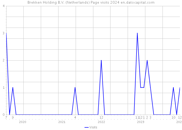Brekken Holding B.V. (Netherlands) Page visits 2024 