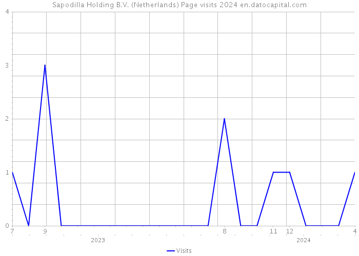 Sapodilla Holding B.V. (Netherlands) Page visits 2024 