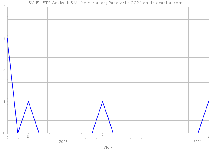 BVI.EU BTS Waalwijk B.V. (Netherlands) Page visits 2024 
