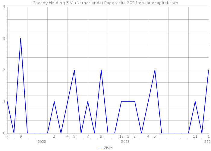 Saeedy Holding B.V. (Netherlands) Page visits 2024 