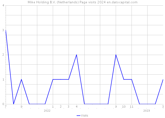 Mike Holding B.V. (Netherlands) Page visits 2024 