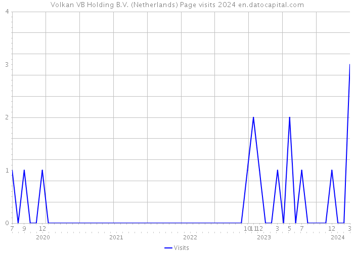 Volkan VB Holding B.V. (Netherlands) Page visits 2024 