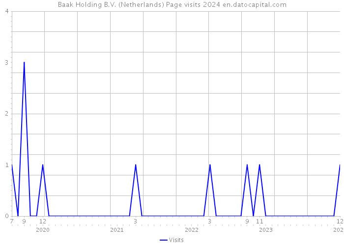 Baak Holding B.V. (Netherlands) Page visits 2024 