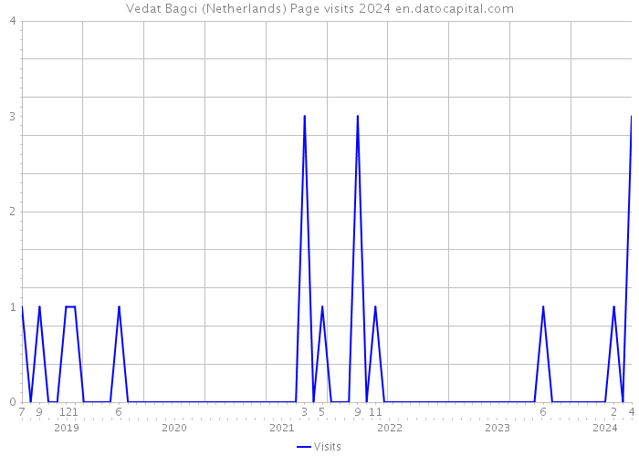 Vedat Bagci (Netherlands) Page visits 2024 