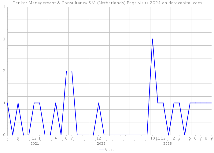 Denkar Management & Consultancy B.V. (Netherlands) Page visits 2024 