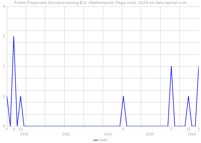 Fichte Financiële Dienstverlening B.V. (Netherlands) Page visits 2024 