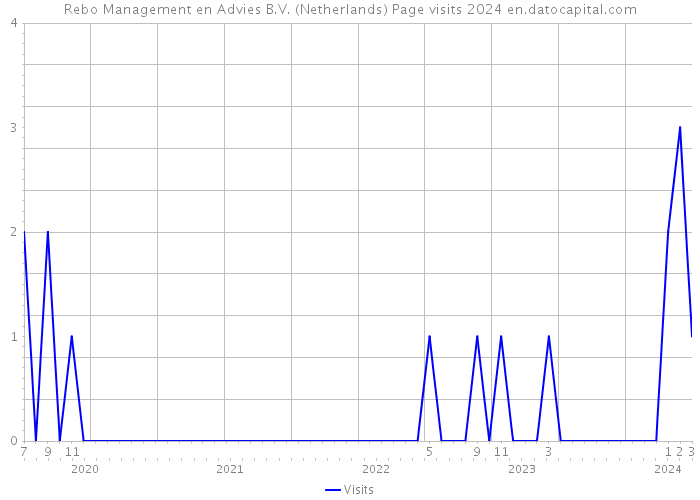 Rebo Management en Advies B.V. (Netherlands) Page visits 2024 
