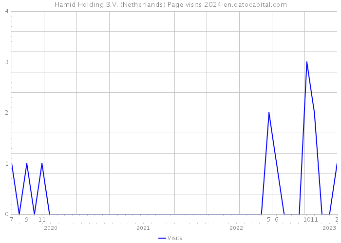 Hamid Holding B.V. (Netherlands) Page visits 2024 