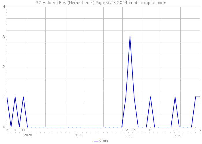 RG Holding B.V. (Netherlands) Page visits 2024 