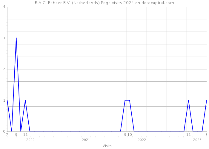 B.A.C. Beheer B.V. (Netherlands) Page visits 2024 