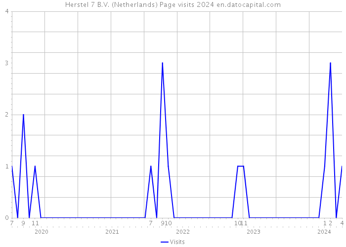 Herstel 7 B.V. (Netherlands) Page visits 2024 