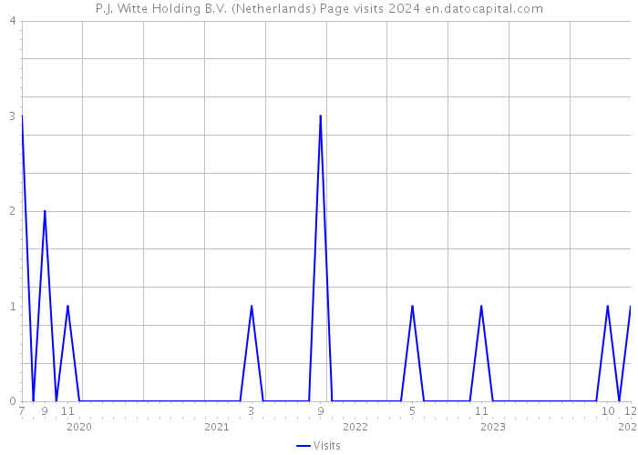 P.J. Witte Holding B.V. (Netherlands) Page visits 2024 