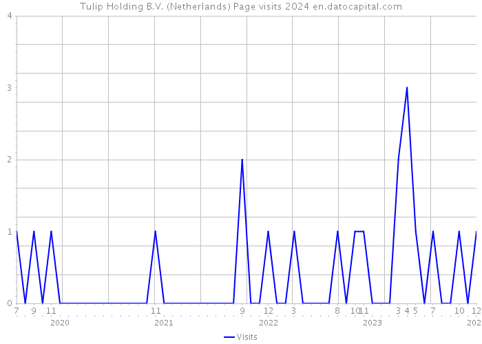 Tulip Holding B.V. (Netherlands) Page visits 2024 