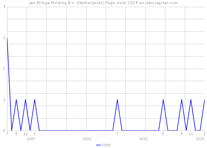 Jan Eringa Holding B.V. (Netherlands) Page visits 2024 