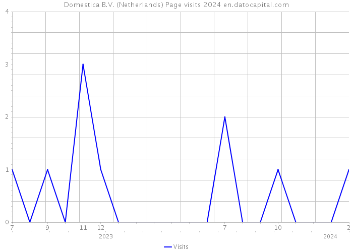 Domestica B.V. (Netherlands) Page visits 2024 