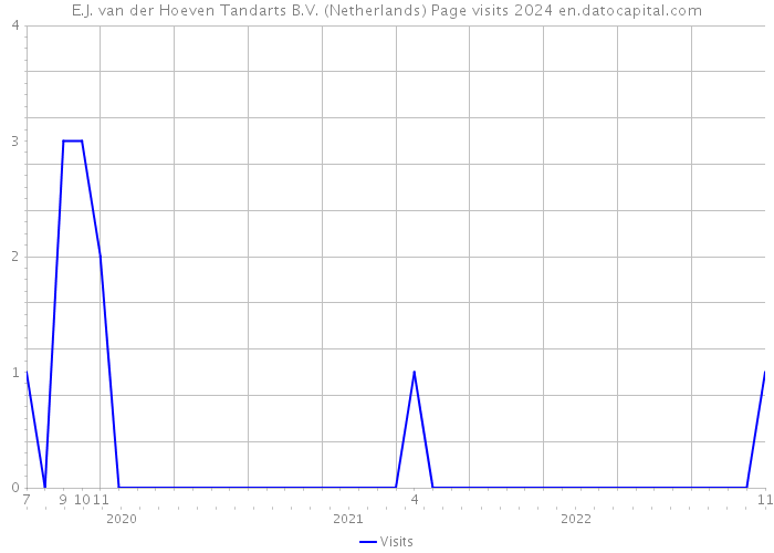 E.J. van der Hoeven Tandarts B.V. (Netherlands) Page visits 2024 