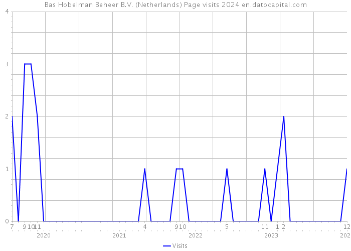 Bas Hobelman Beheer B.V. (Netherlands) Page visits 2024 