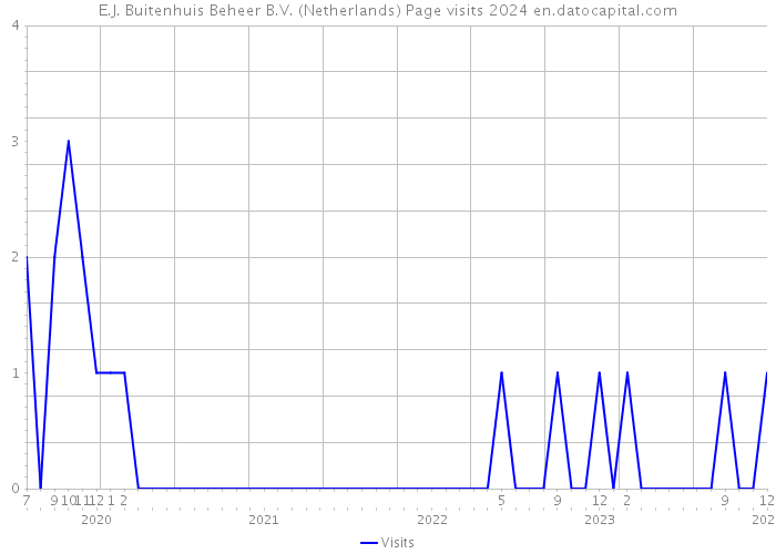 E.J. Buitenhuis Beheer B.V. (Netherlands) Page visits 2024 