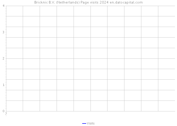 Bricknic B.V. (Netherlands) Page visits 2024 
