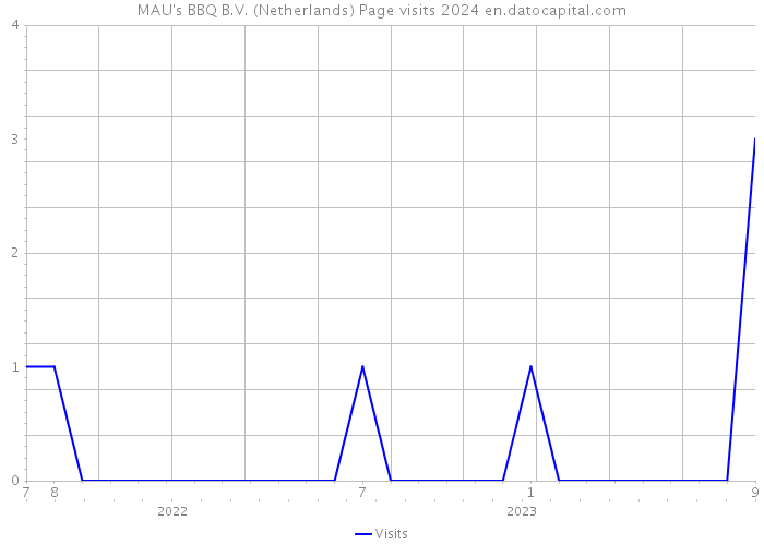 MAU's BBQ B.V. (Netherlands) Page visits 2024 