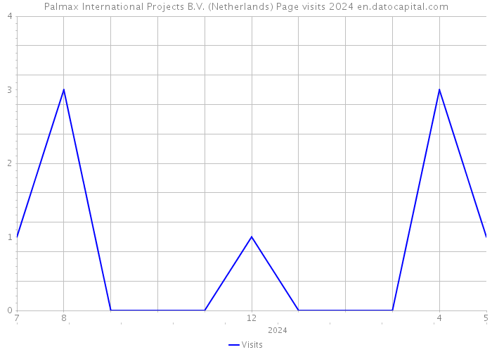 Palmax International Projects B.V. (Netherlands) Page visits 2024 