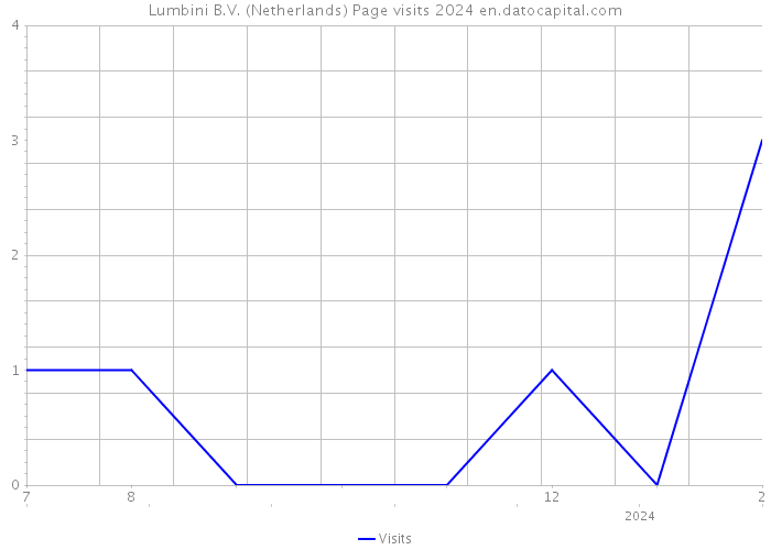 Lumbini B.V. (Netherlands) Page visits 2024 