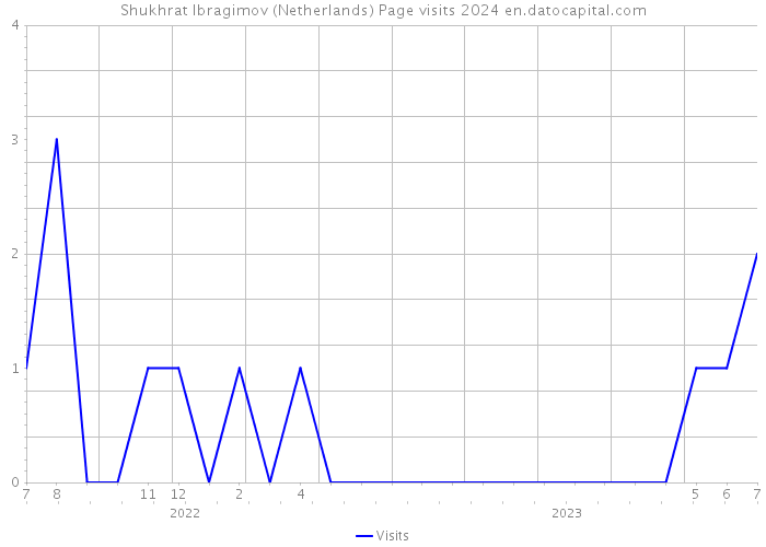 Shukhrat Ibragimov (Netherlands) Page visits 2024 
