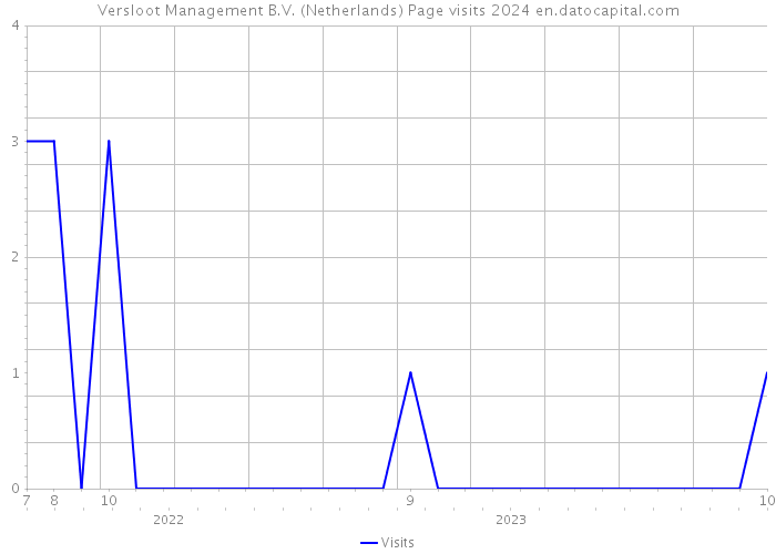 Versloot Management B.V. (Netherlands) Page visits 2024 