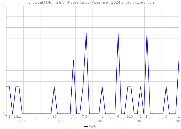 Yellowtail Holding B.V. (Netherlands) Page visits 2024 