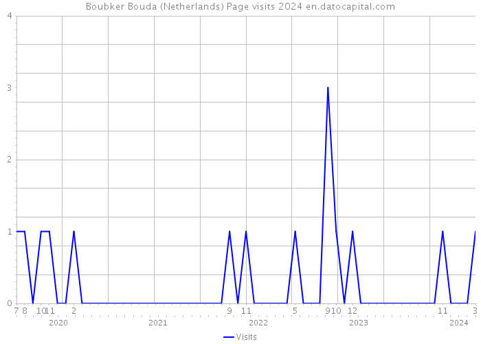 Boubker Bouda (Netherlands) Page visits 2024 