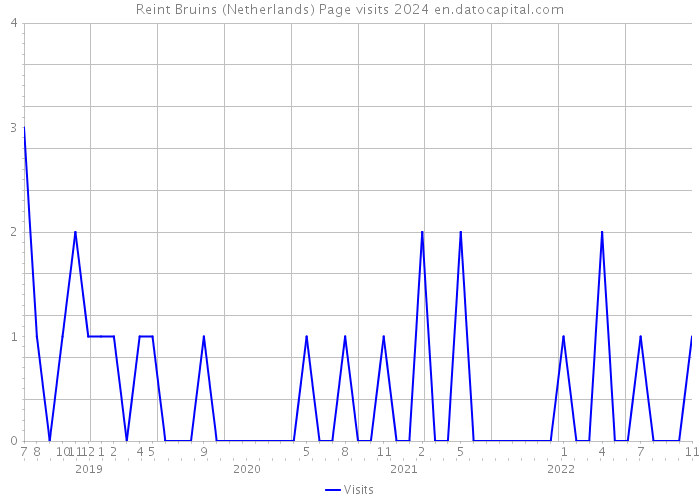 Reint Bruins (Netherlands) Page visits 2024 