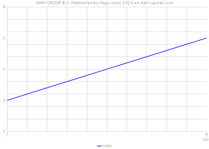 AMH GROUP B.V. (Netherlands) Page visits 2024 