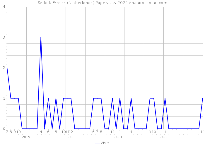 Seddik Erraiss (Netherlands) Page visits 2024 