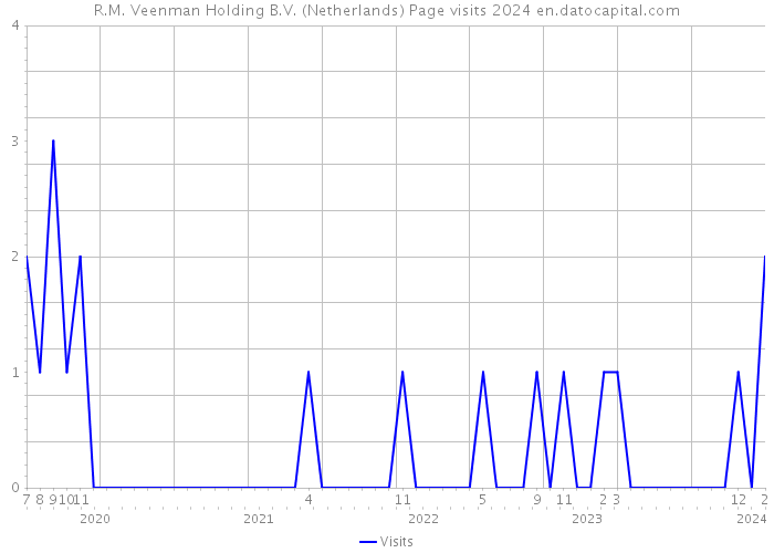 R.M. Veenman Holding B.V. (Netherlands) Page visits 2024 