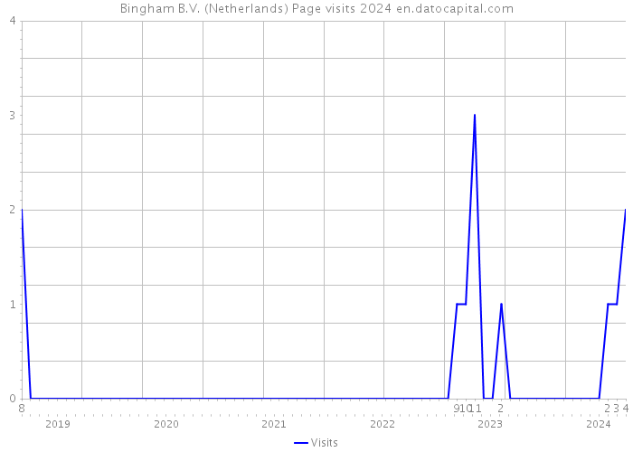 Bingham B.V. (Netherlands) Page visits 2024 